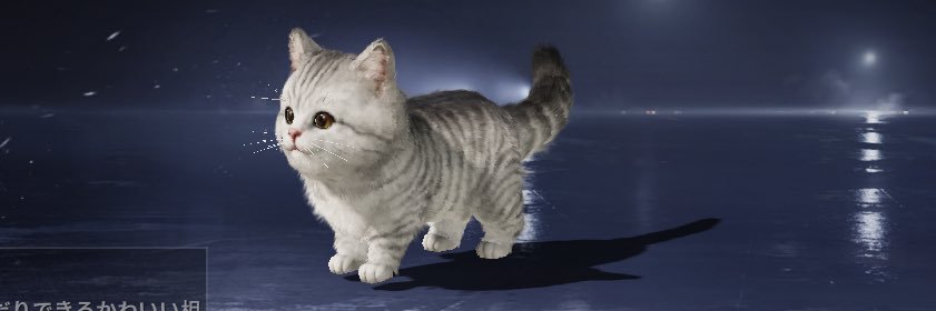 mikanlemonsudac's profile banner image