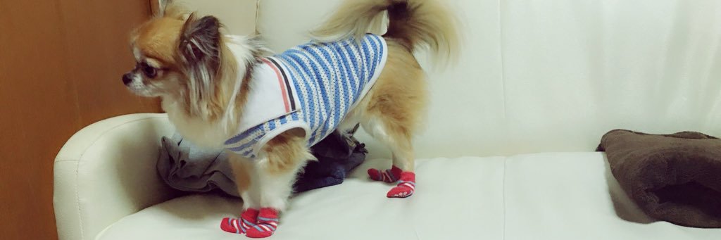 0318Naoreo's profile banner image