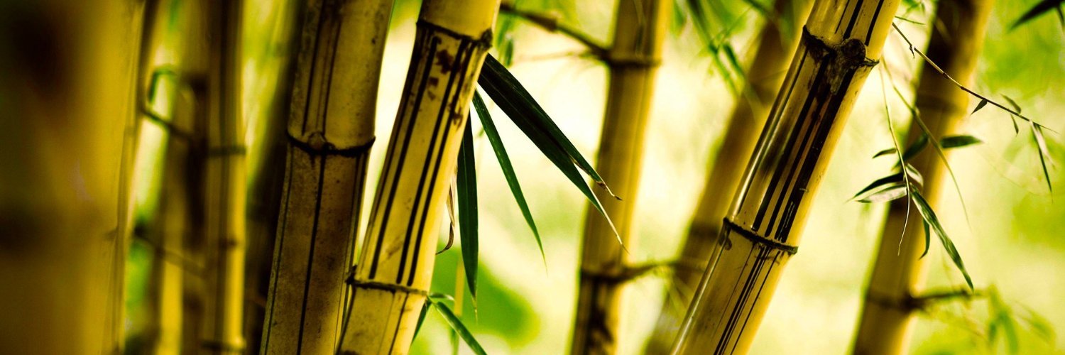 harmenn_syah's profile banner image