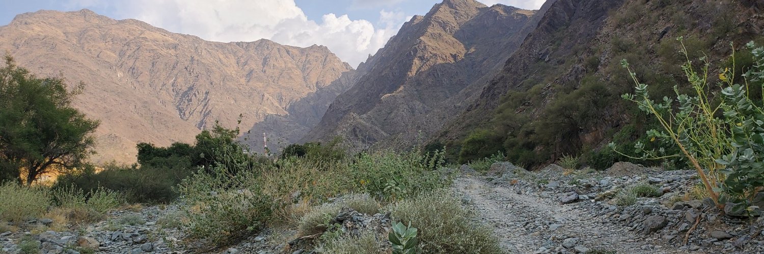 aaldahri's profile banner image