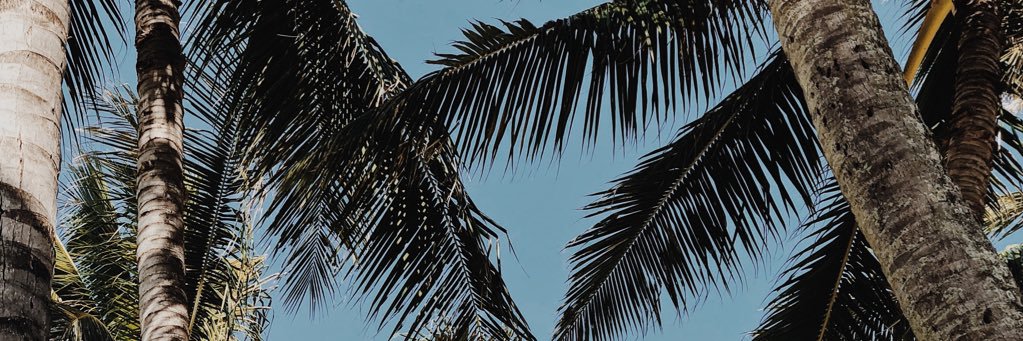 EmilyLasko's profile banner image