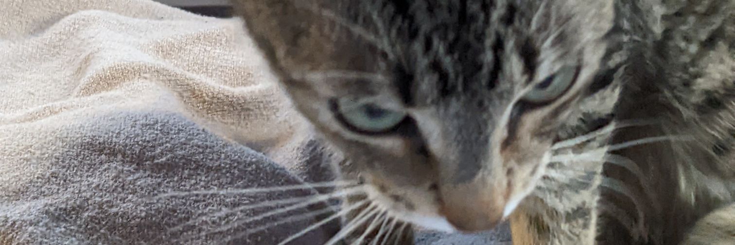 PFCloninger's profile banner image