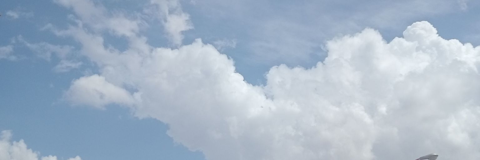 Watachiastrid's profile banner image