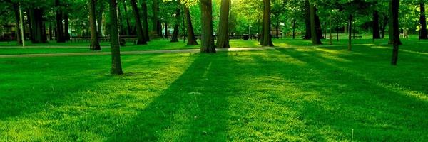 Jaymurunga Profile Banner