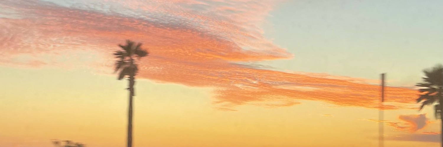 ximenafontesb's profile banner image