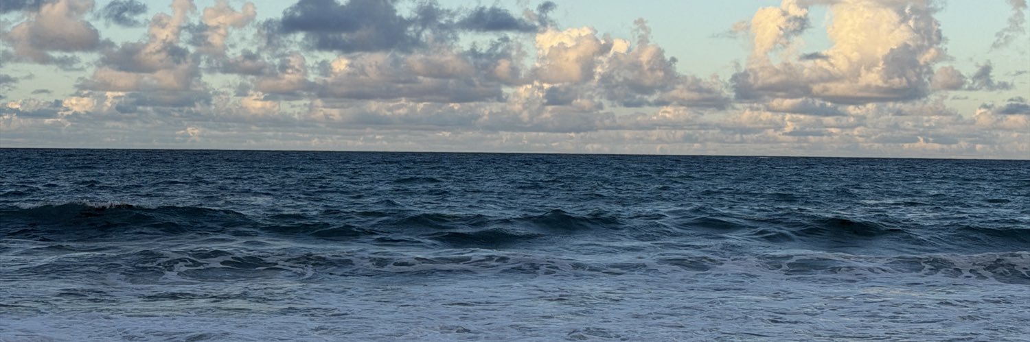 _nicoleco's profile banner image