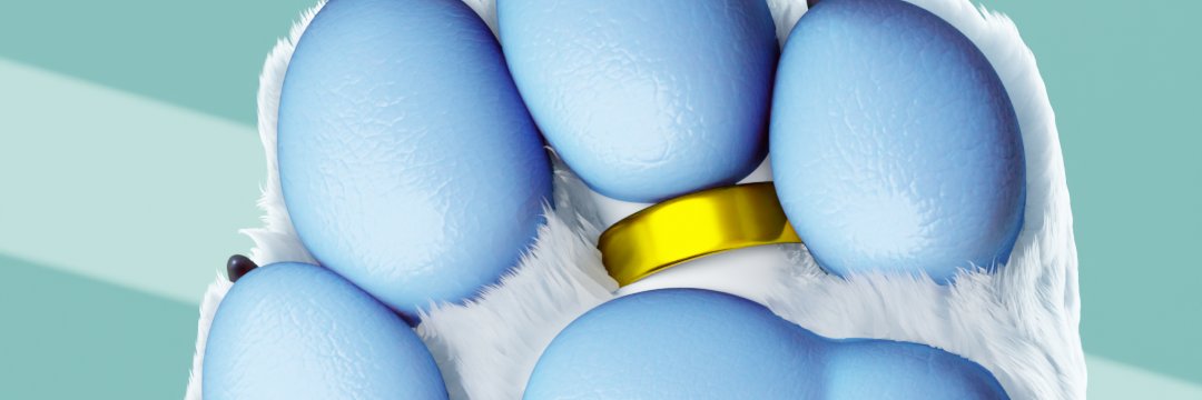 Worgenizer's profile banner image