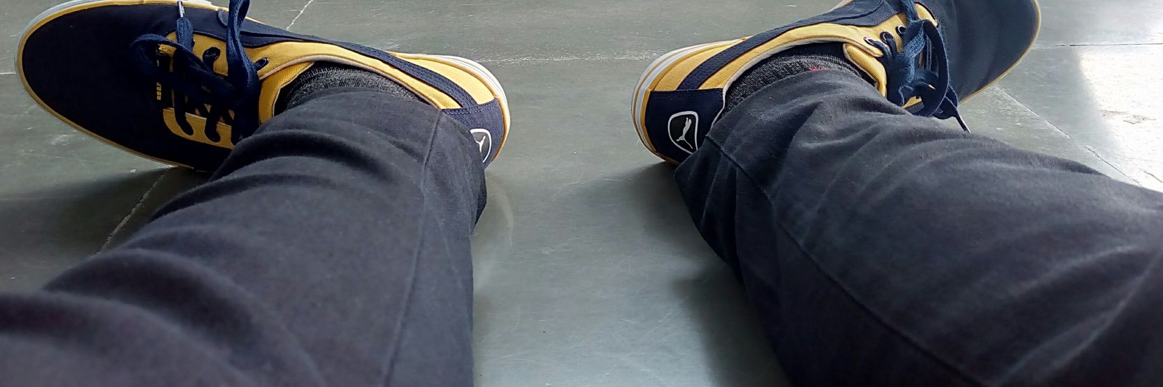 levenspidey's profile banner image