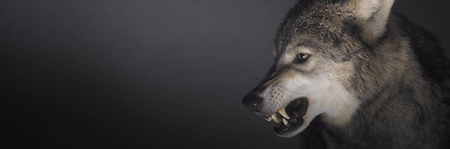 ColloDT_'s profile banner image