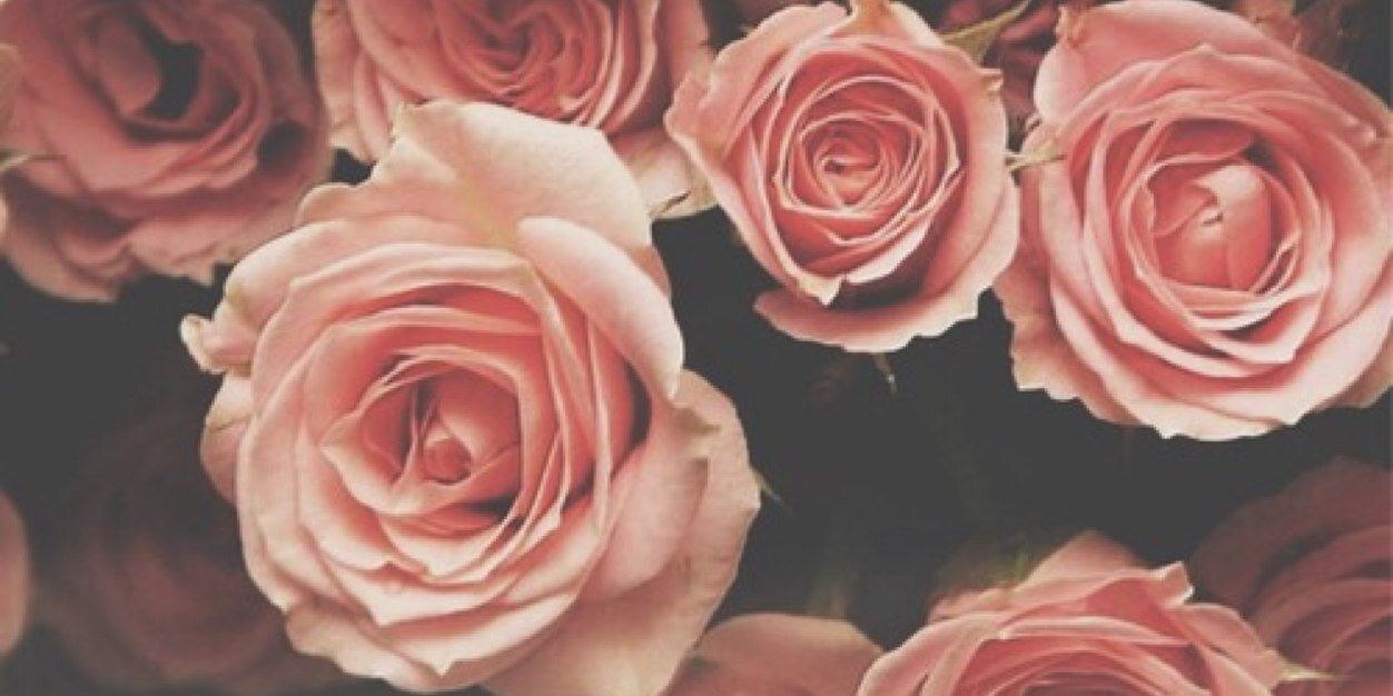 IlianaStyles's profile banner image