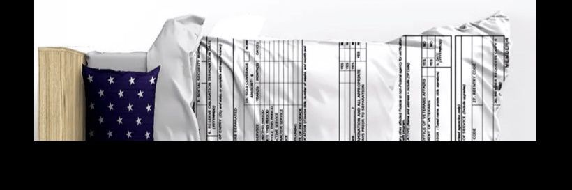 Alfred Springer banner