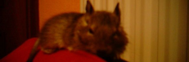 JenChan182's profile banner image