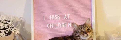 TheCQC's profile banner image