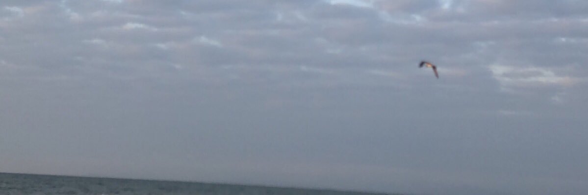 EngOsama23's profile banner image