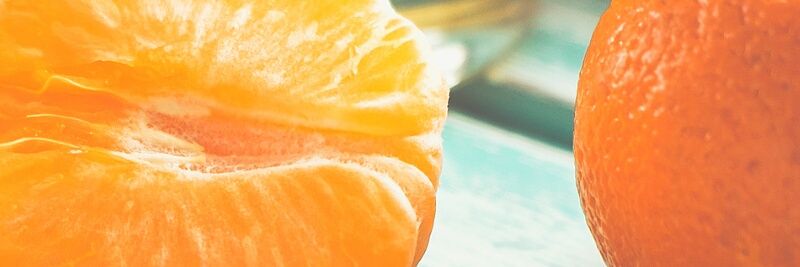 MacaZaragoza's profile banner image