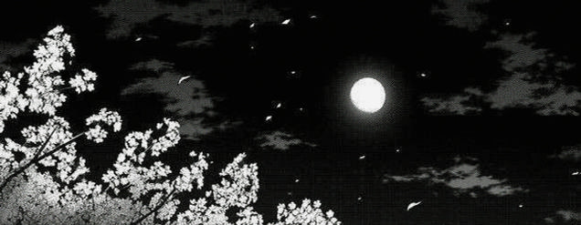 luunahearth's profile banner image