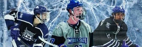 weberstatepuck's profile banner image