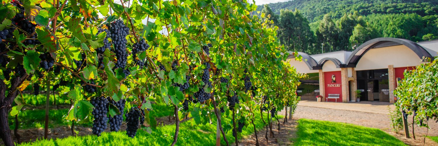 vinhospanceri's profile banner image