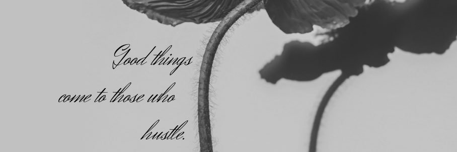 AlyssaHaberer's profile banner image