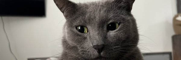 sad_cre Profile Banner