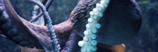 M_Seghezzi23's profile banner image