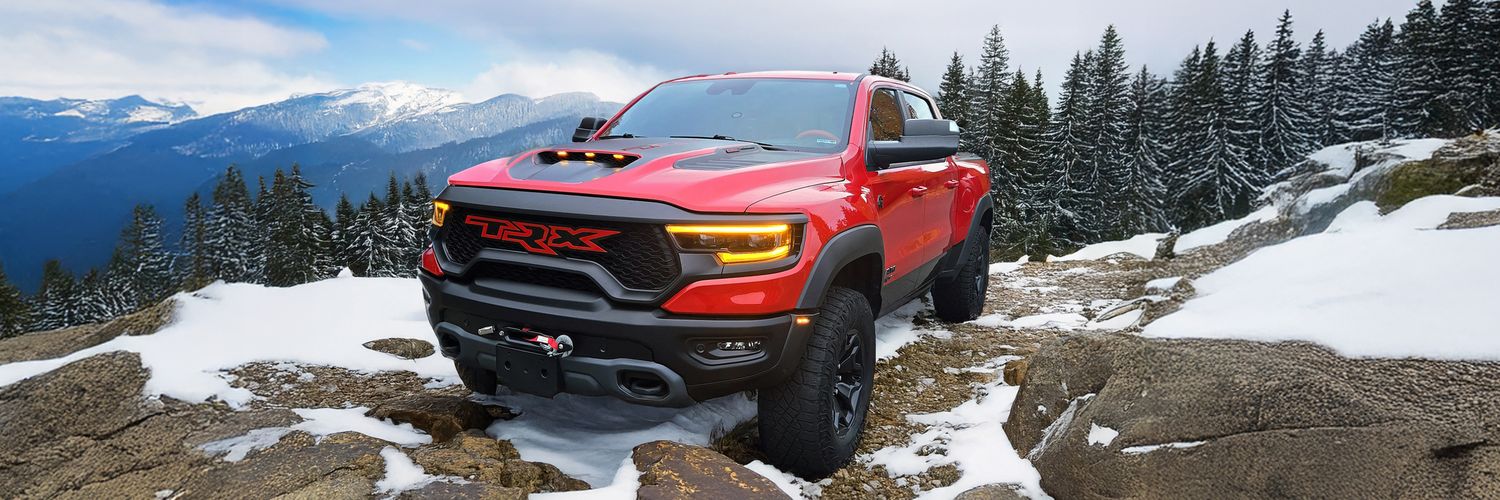 Jimbodini 🌴 banner