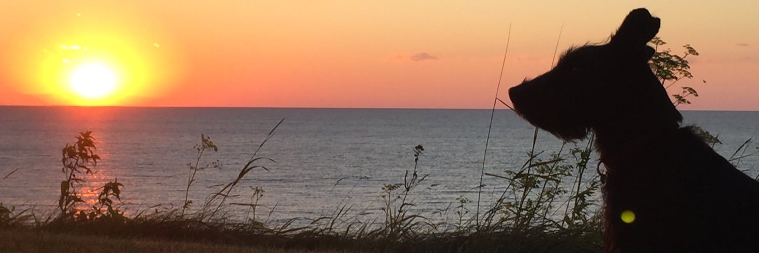 MMHmmh's profile banner image