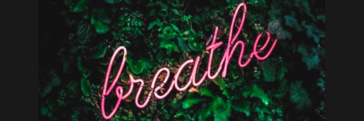 ohhhlynn's profile banner image