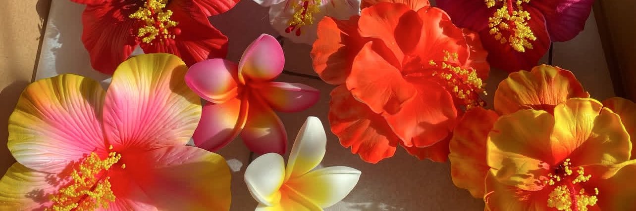 HopeLevu_'s profile banner image