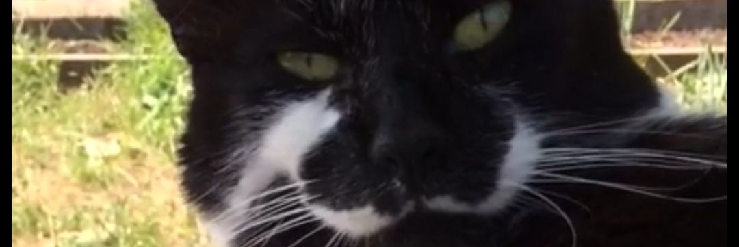 jenjay71's profile banner image