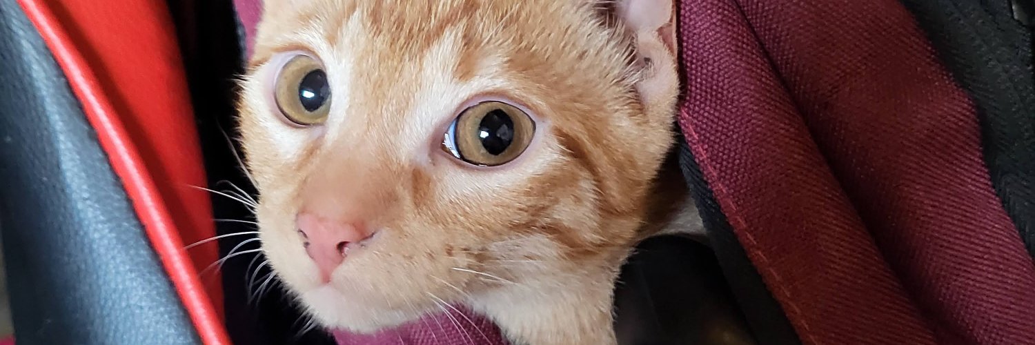 ShodriC_'s profile banner image