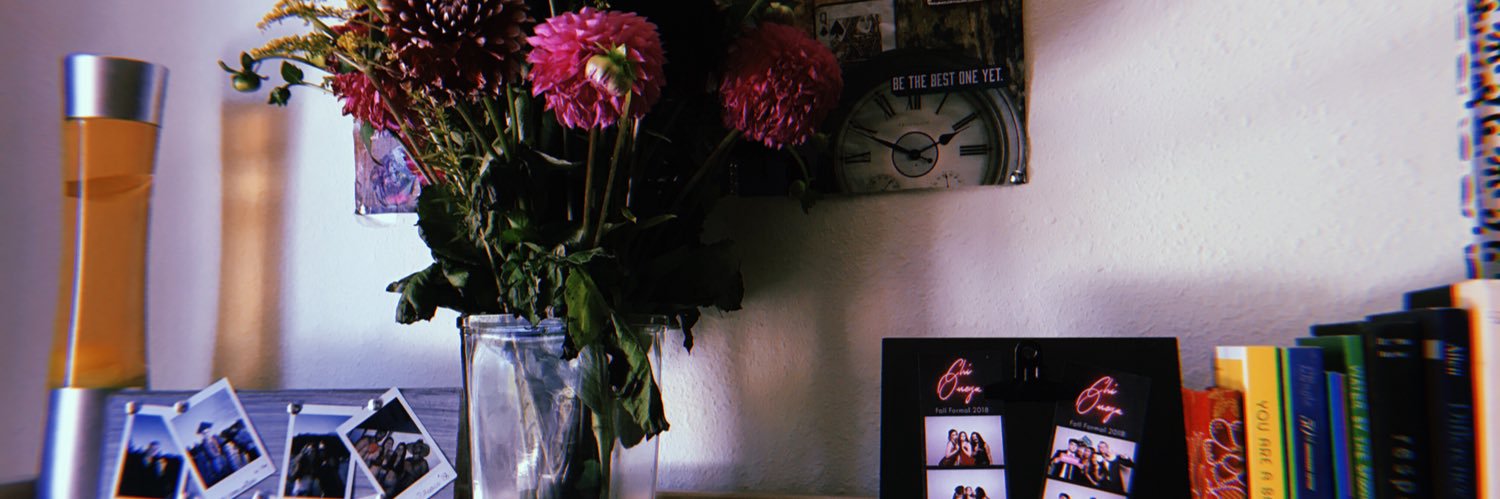 SarahhBurke2's profile banner image
