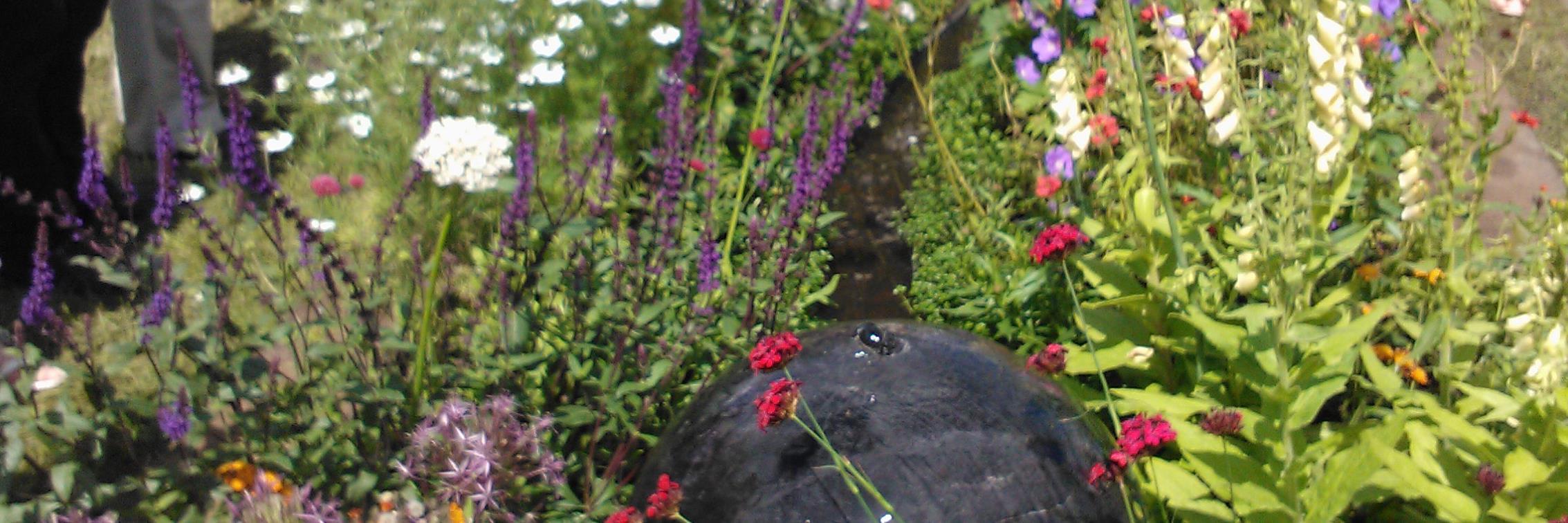 Potash Plants (@PotashNursery) / Posts / X