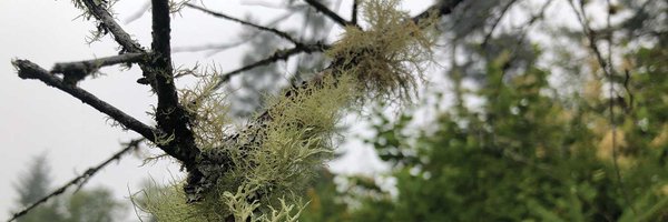 hellodustinlee Profile Banner