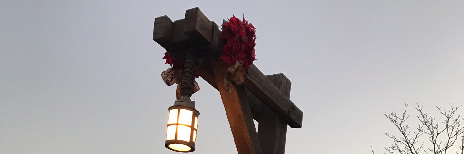 Zyngamesh's profile banner image