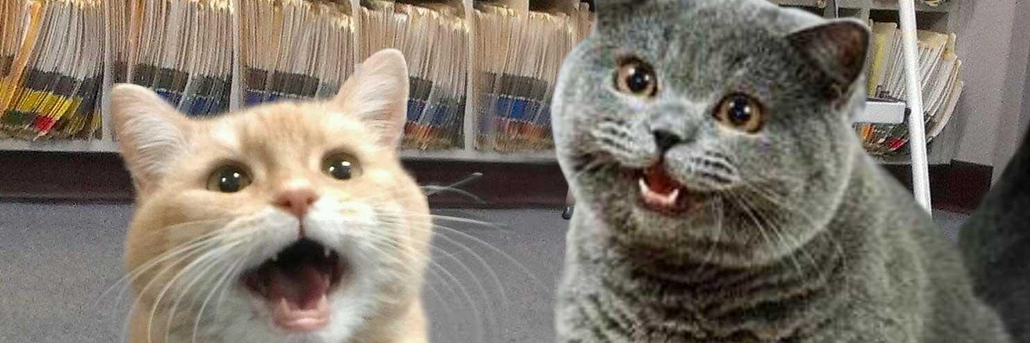 Marcos Bañó banner