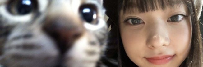 pyrogyu's profile banner image