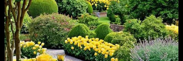 AlkaRBhatt Profile Banner