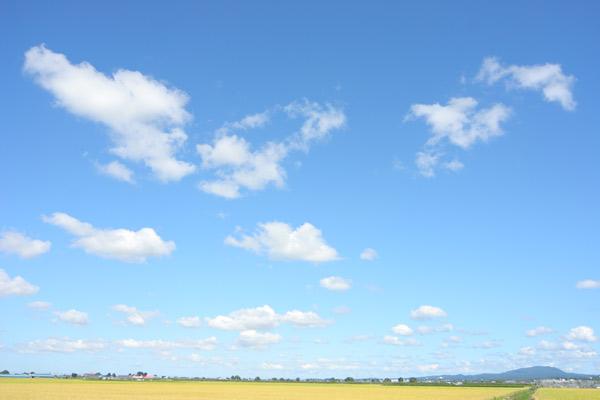 steward996's profile banner image
