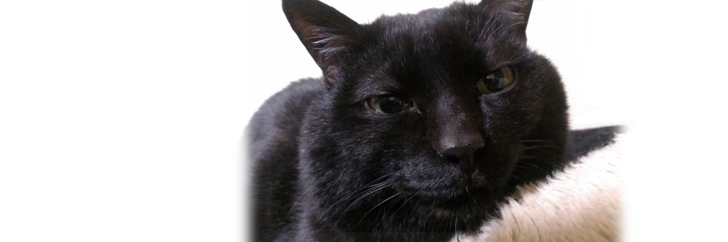 jontamasan's profile banner image