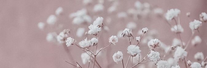 _SONNE__'s profile banner image