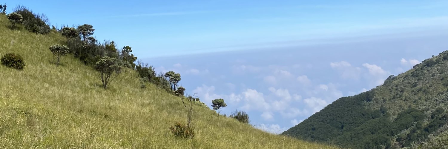 gdthnks's profile banner image