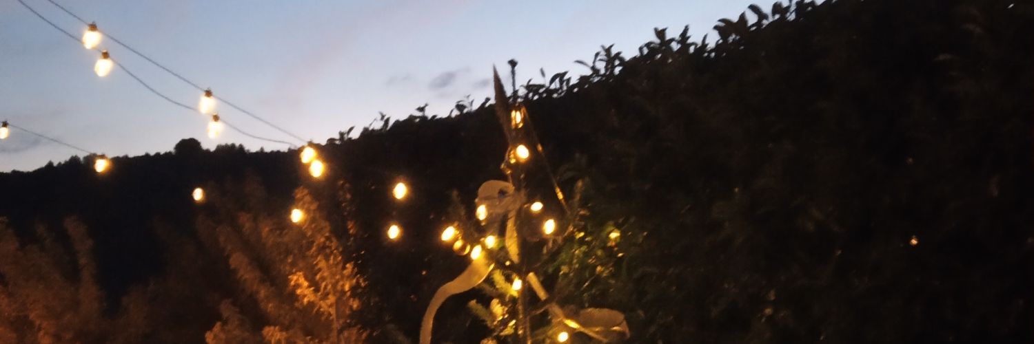 The_Cou's profile banner image