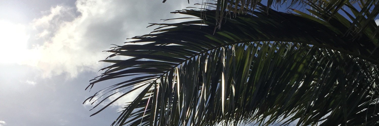 sam__gat's profile banner image