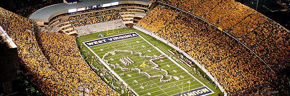 Stephanie O'Connell banner