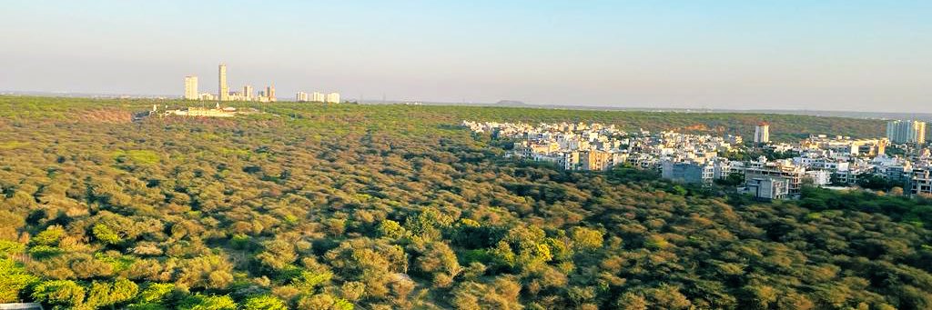 Supriya Singh banner