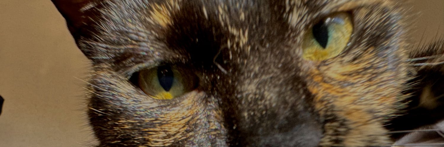ZeeKayDubbleYu's profile banner image