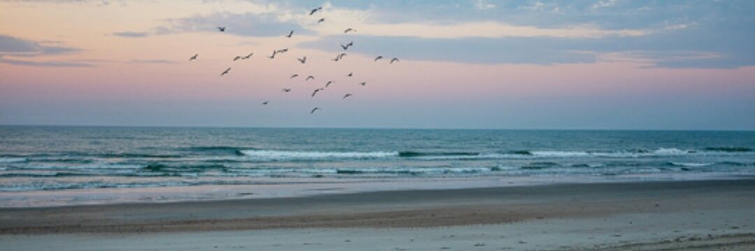 ♥ Tracy ♥ banner