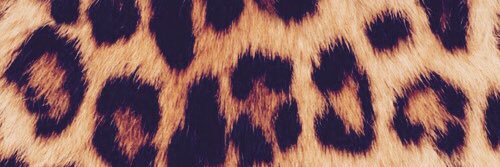 sofierrico's profile banner image
