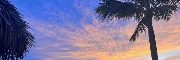 BarryRLewis Profile Banner
